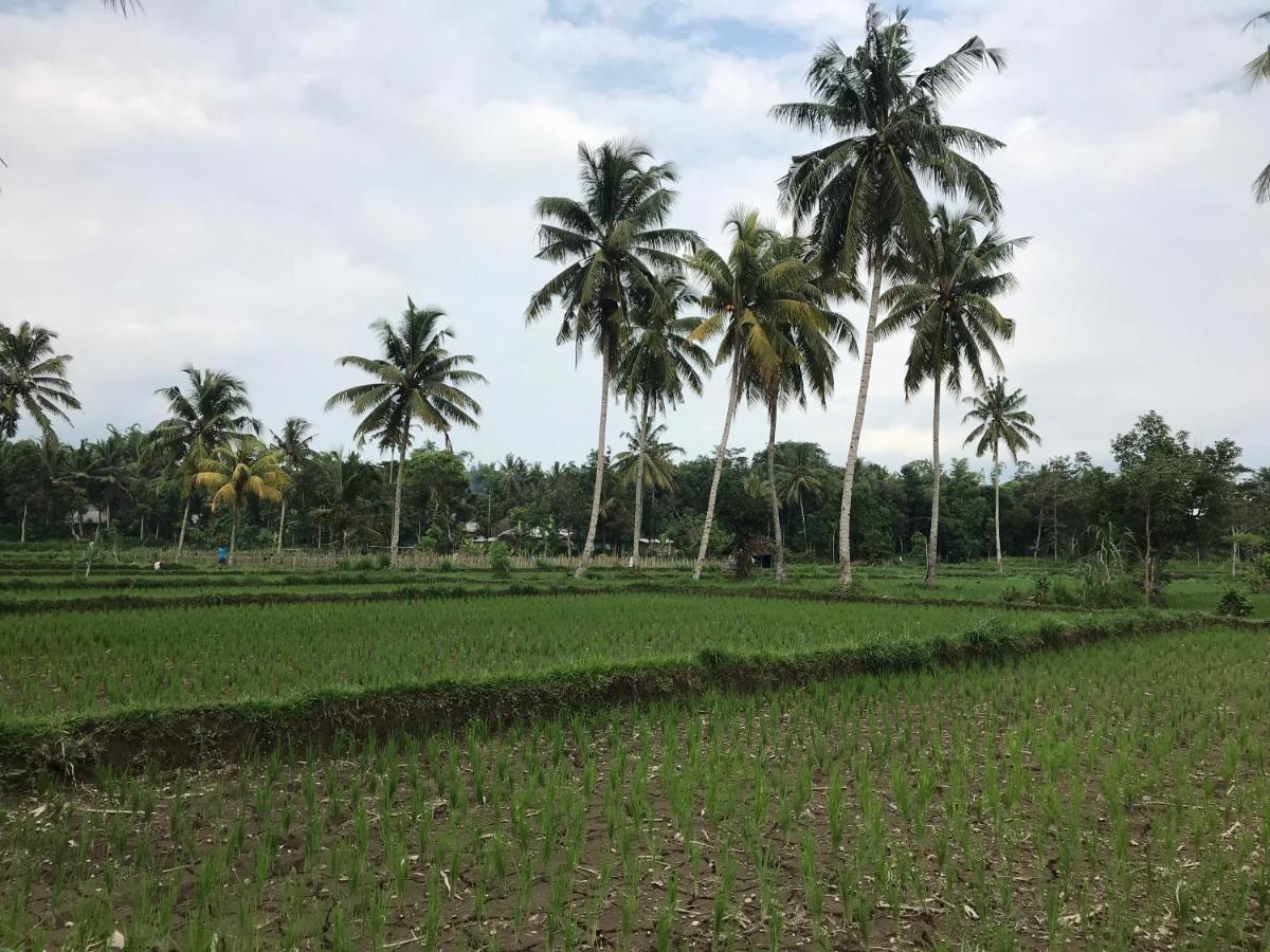 Pondok Rinjani Bungalow Тетебату Екстериор снимка